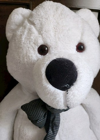 dev ayi pelus - Görsel 2