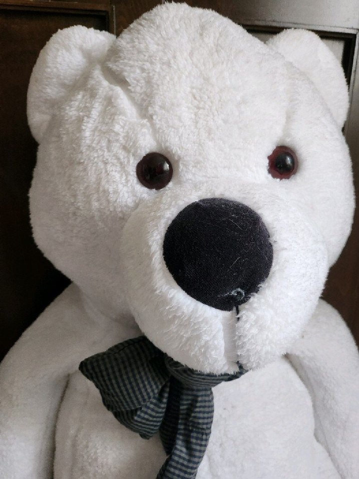 dev ayi pelus - Görsel 2