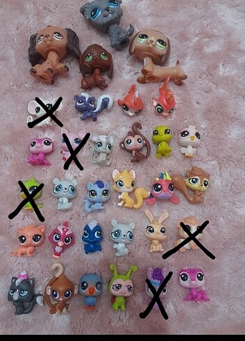 Lps minisler