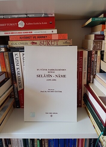 Beden Renk Selâtin-name
