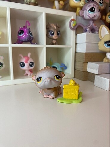 Lps hamster