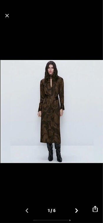 Massimo dutti elbise