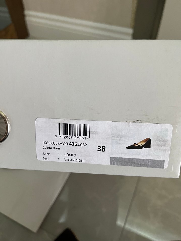 Gümüş Topuklu Kadın Ayakkabı - Görsel 4