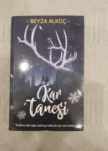 Kar Tanesi - Beyza Alkoç