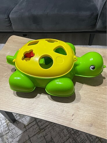 Bultak kaplumbağa