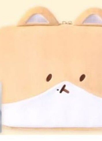 Teolaegi Pouch
