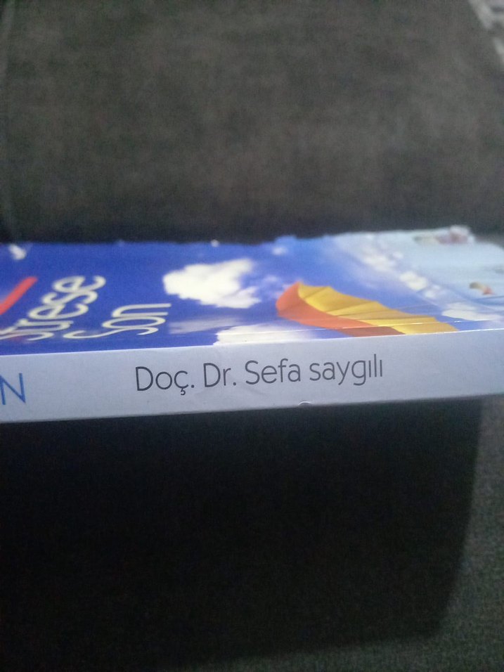 Strese Son - Doç. Dr. Sefa Saygılı.240 sayfa - Görsel 2