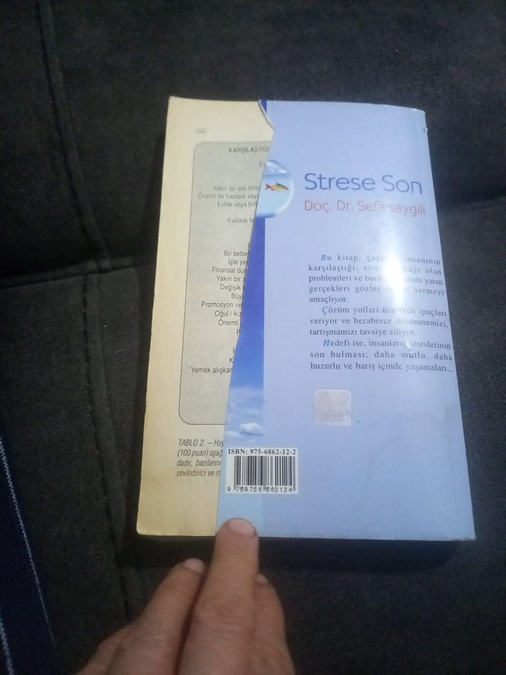 Strese Son - Doç. Dr. Sefa Saygılı.240 sayfa - Görsel 3