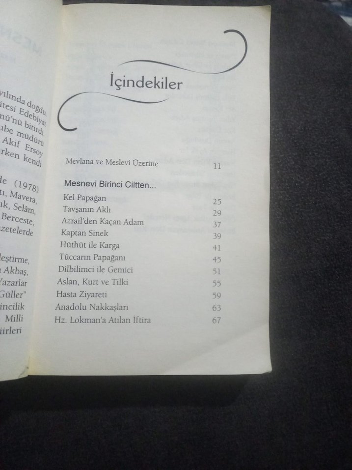 Mesnevi Öyküleri Romanı.302 sayfa - Görsel 4