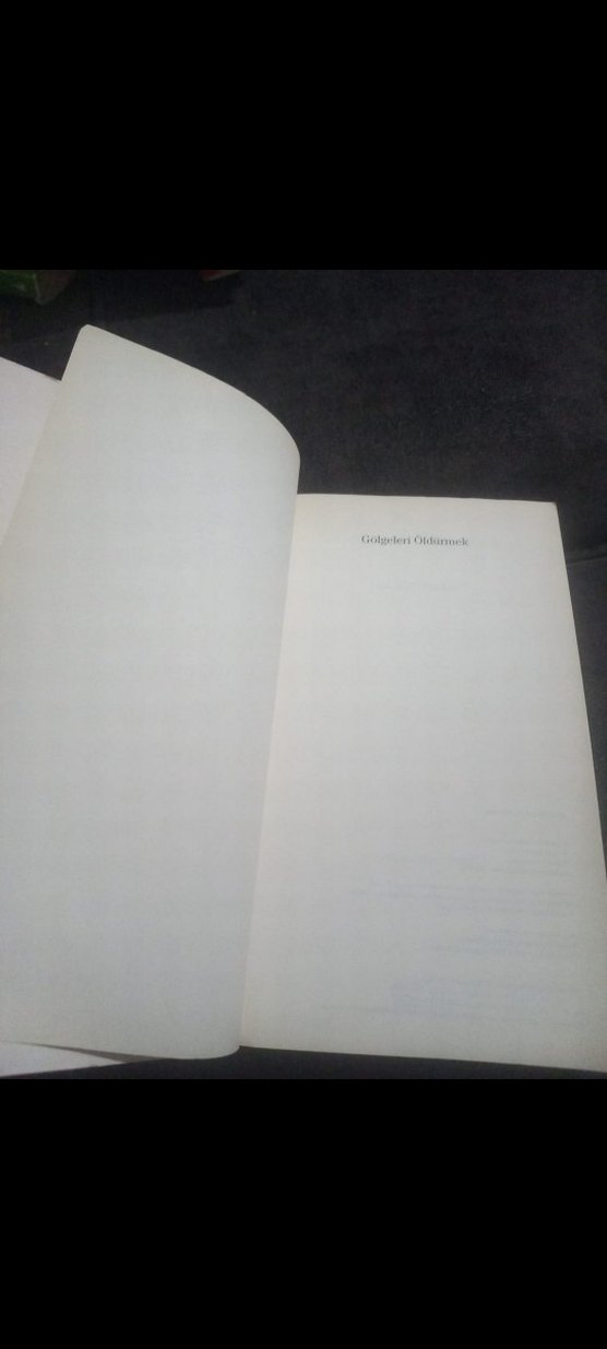 Gölgeleri Öldürmek - Val McDermid - Görsel 5