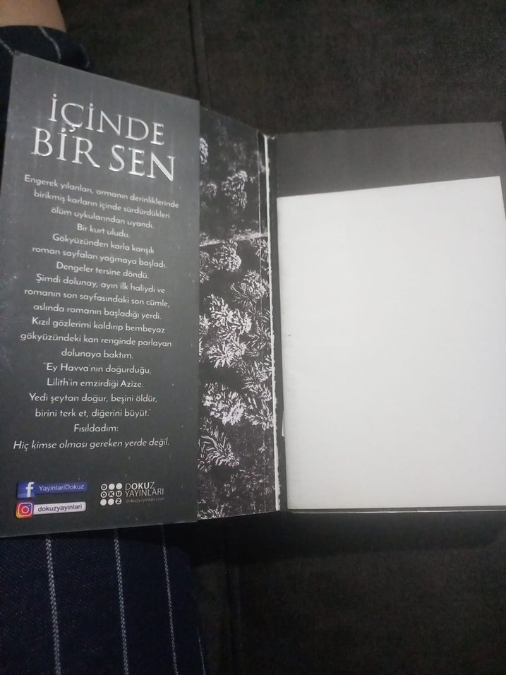 İçinde Bir Sen - Binnur Şafak Nigiz - Görsel 5