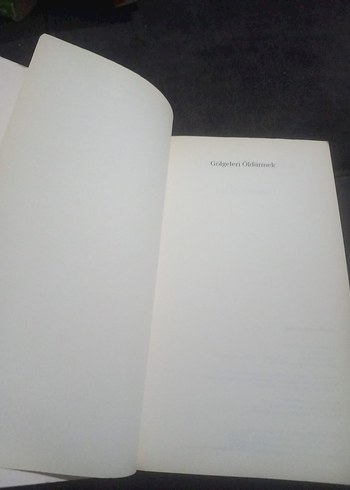 Gölgeleri Öldürmek - Val McDermid - Görsel 4