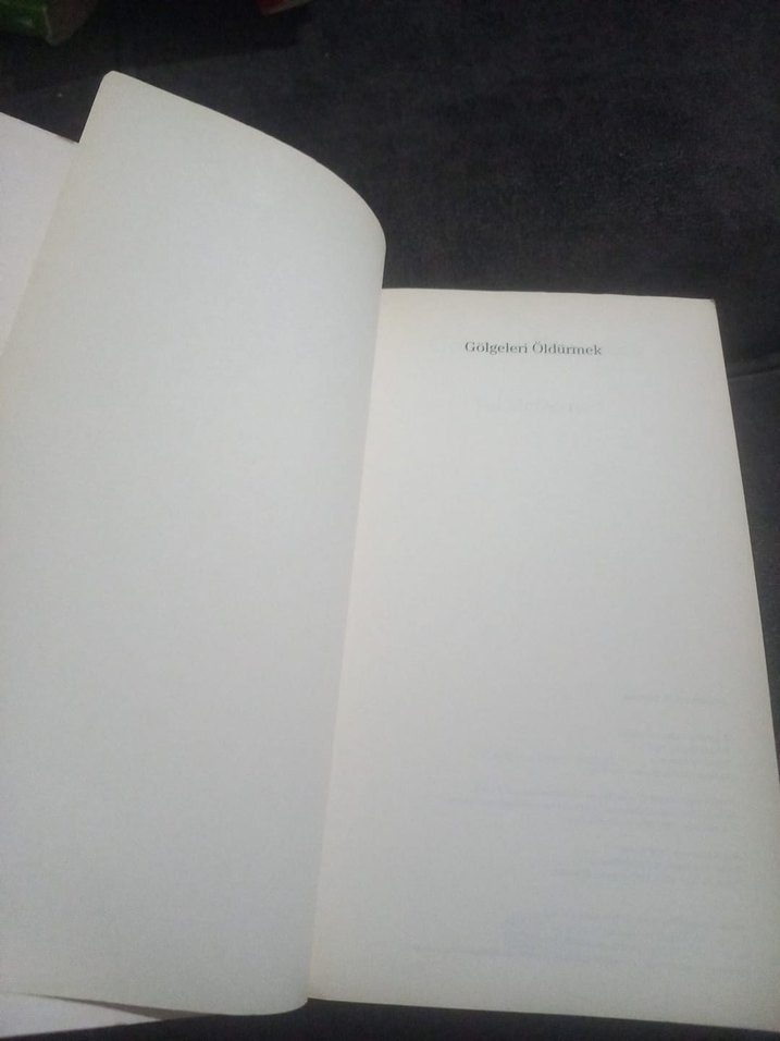 Gölgeleri Öldürmek - Val McDermid - Görsel 4