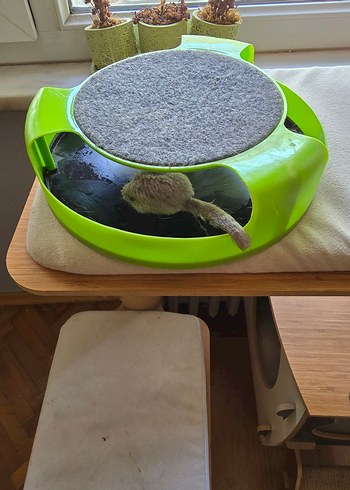 Yeşil Kedi Oyuncağı ve Tırmalama Tahtası - Görsel 2