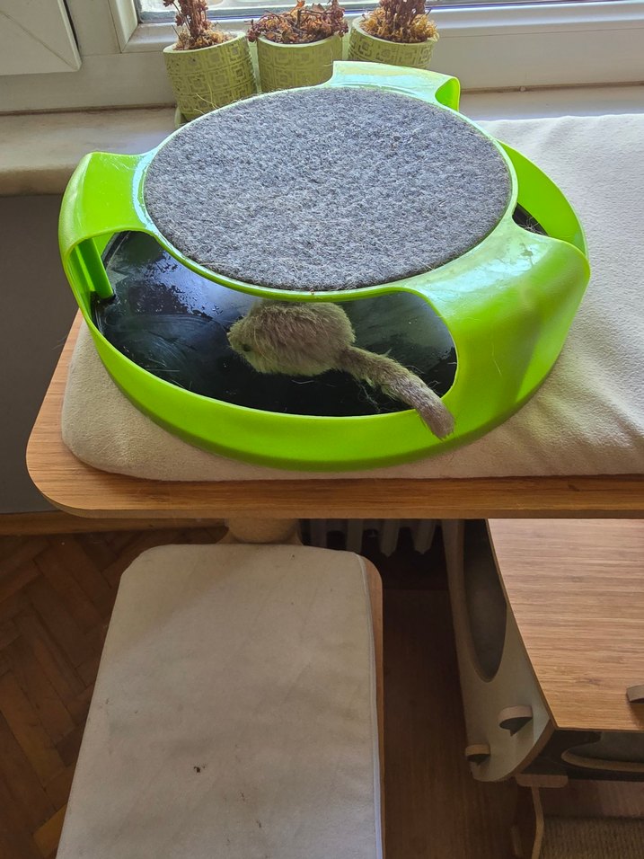 Yeşil Kedi Oyuncağı ve Tırmalama Tahtası - Görsel 2