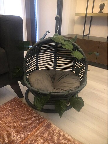 Kedi salıncağı