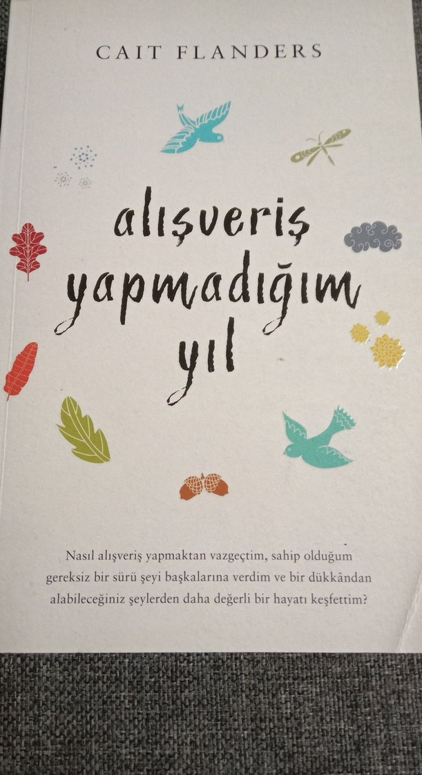 Alışveriş Yapmadığım Yıl - Cait Flanders - Görsel 2
