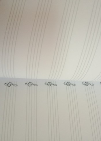 sert kapaklı 40 sayfa Müzik Defteri Set - 2 Renk - Görsel 4