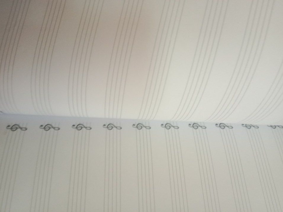 sert kapaklı 40 sayfa Müzik Defteri Set - 2 Renk - Görsel 4