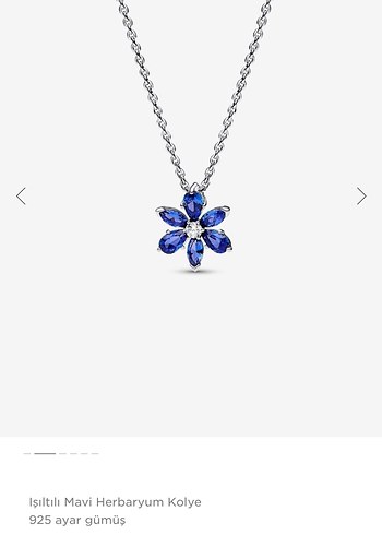 Pandora Herbaryum Kolye - Görsel 6