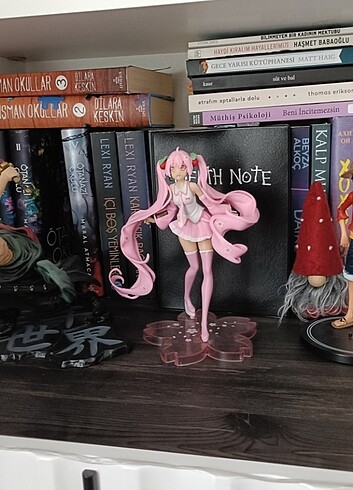 Beden turkce, ingilizce manga, anime figurleri