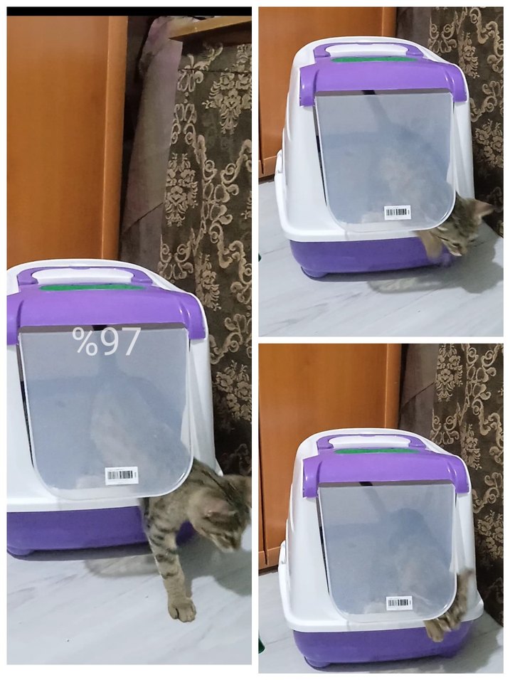 Kedi tuvaleti  Kapalı Tuvalet Kutusu - Görsel 2