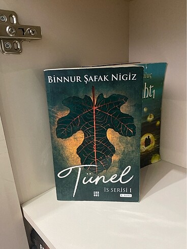 Binnur Şafak Nigiz