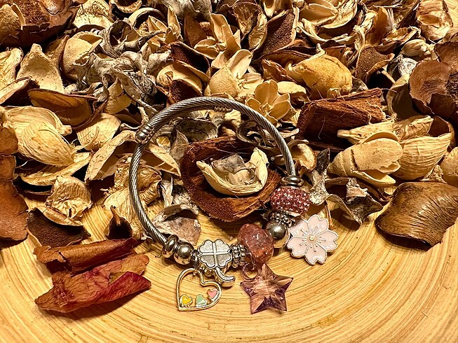 Pandora bileklik #pandora #charm #bileklik #taki