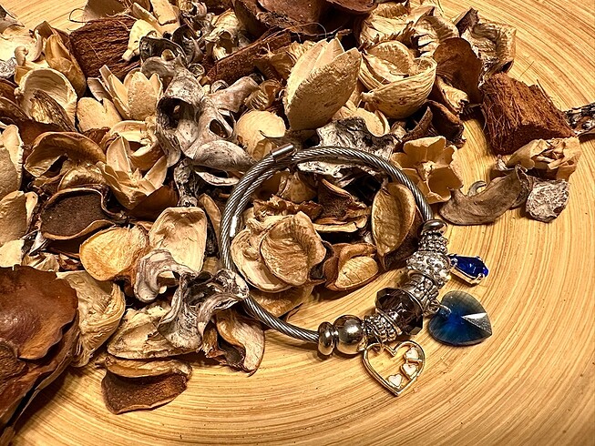 Pandora bileklik #pandora #charm #bileklik #taki