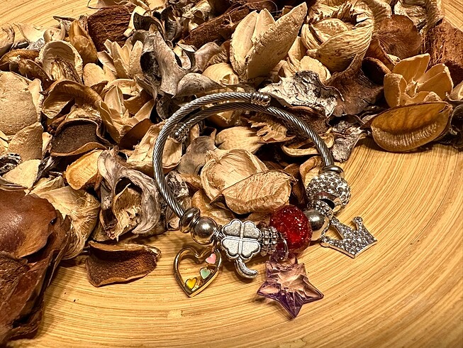 Pandora bileklik #pandora #charm #bileklik #taki