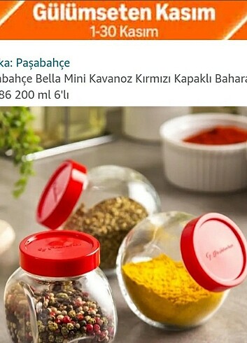 Paşabahçe bella mini baharatlık 12 adet 
