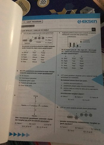  Beden 11. Sınıf İleri Biyoloji Konu Testleri 32 Adet