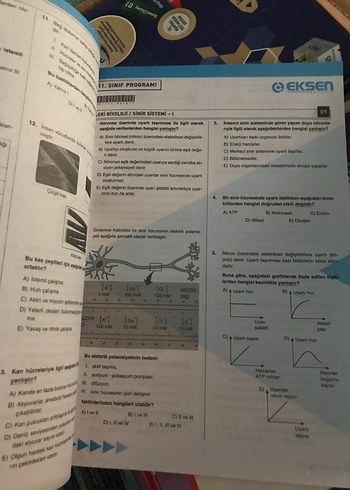  11. Sınıf İleri Biyoloji Konu Testleri 32 Adet