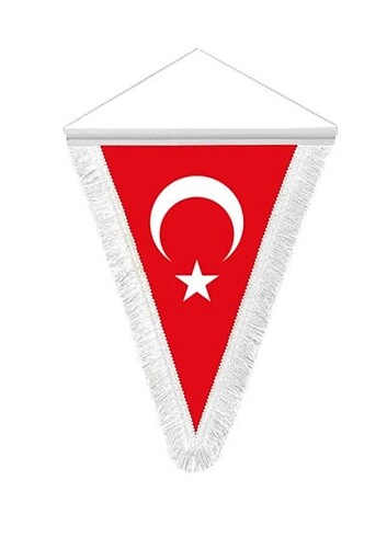 TURK BAYRAĞI FLAMA