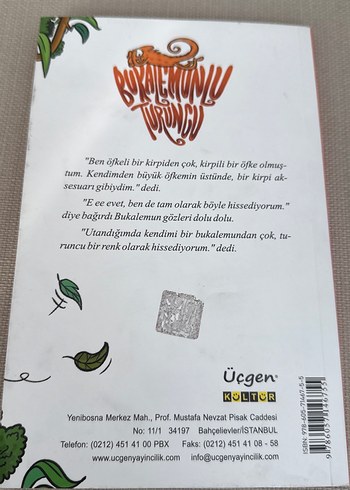 Bukalemunun Turuncu Çocuk Kitabı - Görsel 2