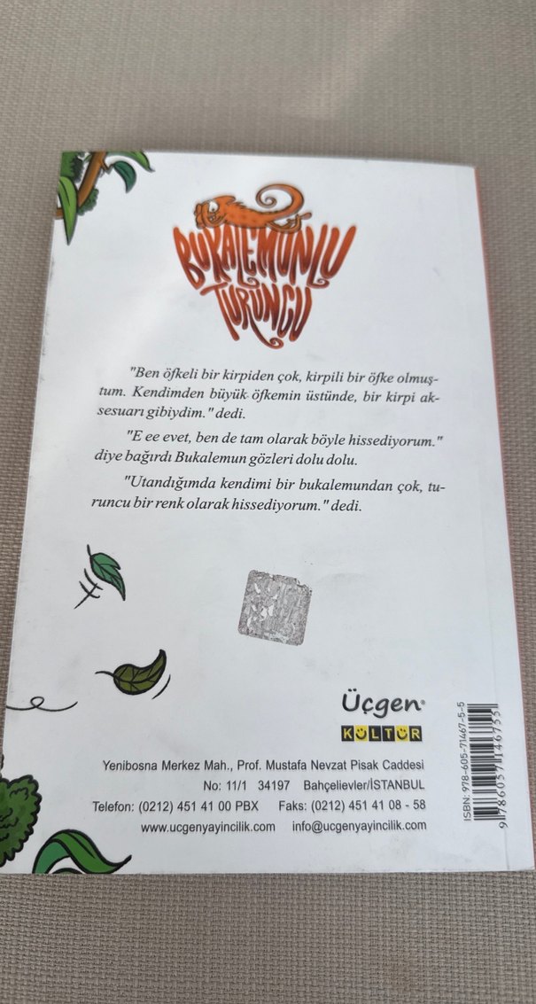 Bukalemunun Turuncu Çocuk Kitabı - Görsel 2