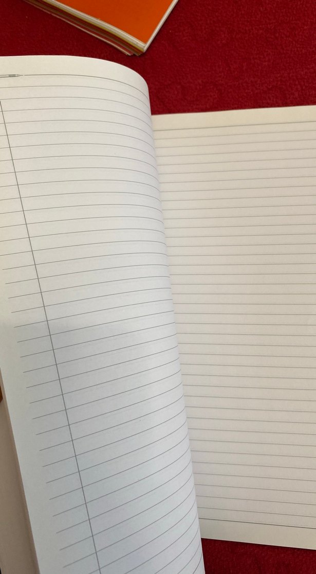 Kelebek Desenli Yeşil Spiralli Defter - Görsel 2