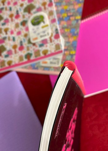 Kelebek Kalp Desenli Pembe Spiralli Defter - Görsel 6