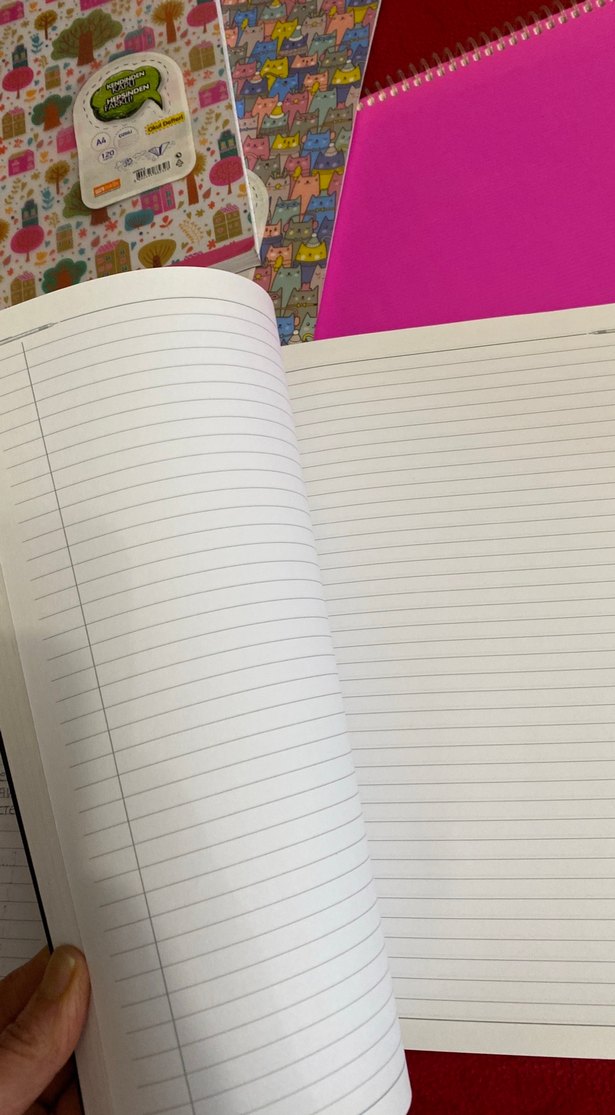 Kelebek Kalp Desenli Pembe Spiralli Defter - Görsel 5