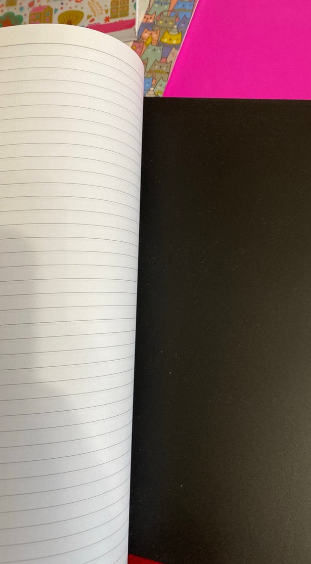 Kelebek Kalp Desenli Pembe Spiralli Defter - Görsel 4