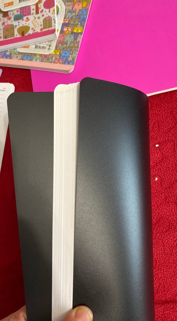 Kelebek Kalp Desenli Pembe Spiralli Defter - Görsel 2