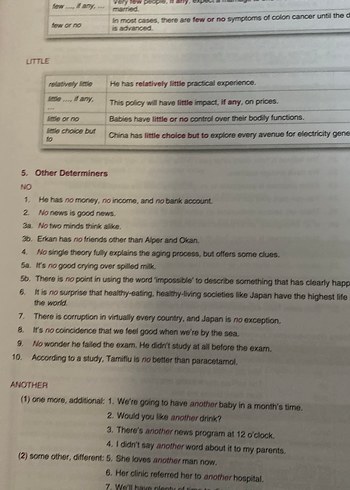 Pelikan yayını dil sınavı kitabı - Görsel 5