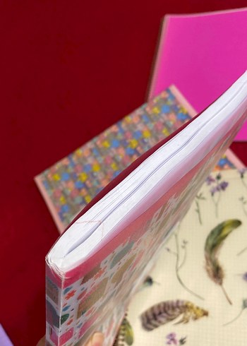 Pastel Renkli A4 Çizgili Defter - Görsel 3