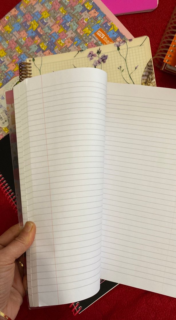 Pastel Renkli A4 Çizgili Defter - Görsel 5