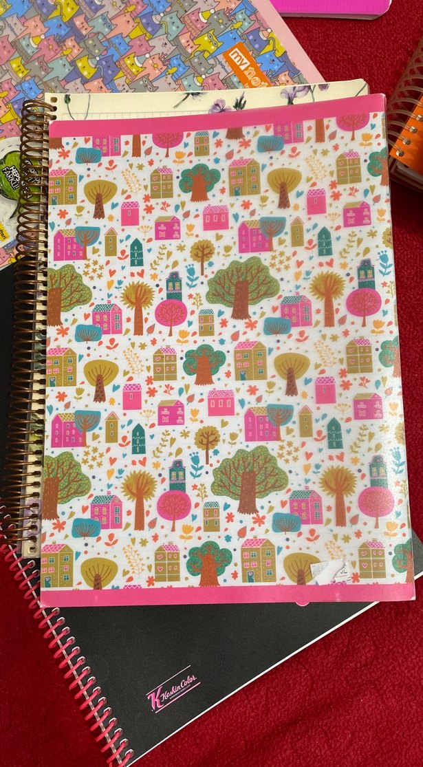 Pastel Renkli A4 Çizgili Defter - Görsel 4