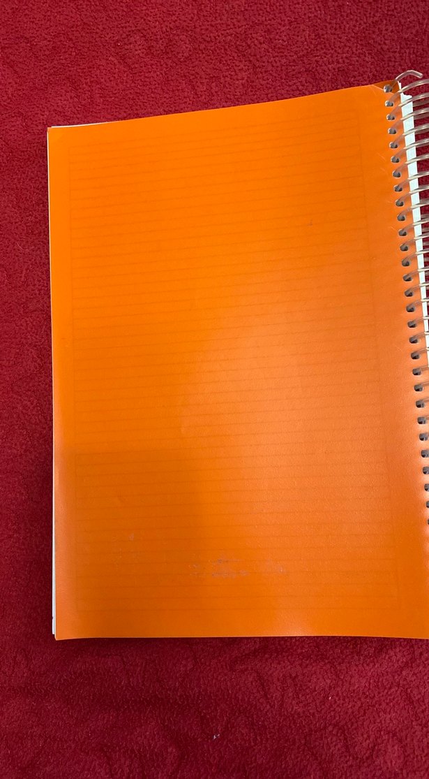 Parlak Turuncu Spiralli Defter - Görsel 4