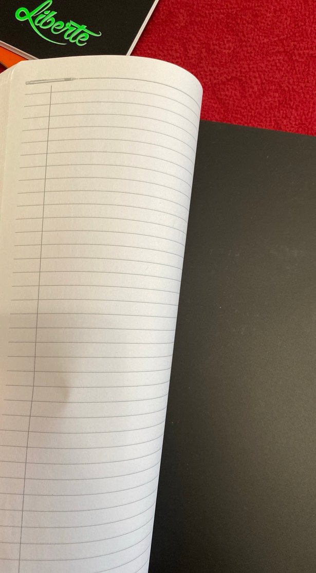 Kelebek Kalp Desenli Siyah Spiralli Defter - Görsel 3