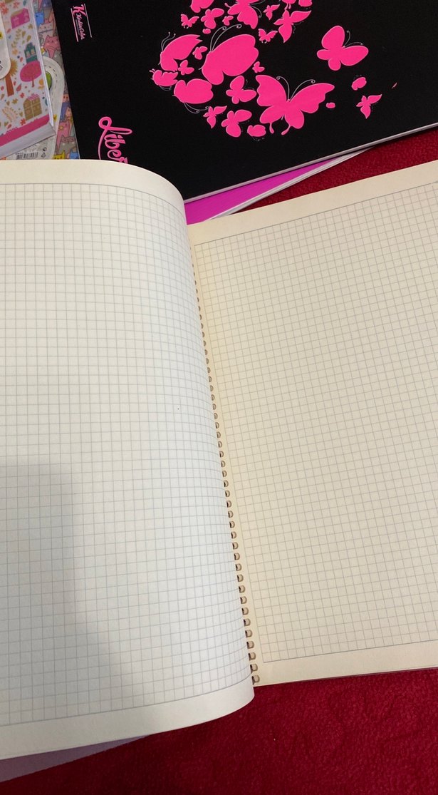 Mor Tüy Desenli Spiralli Defter - Görsel 3