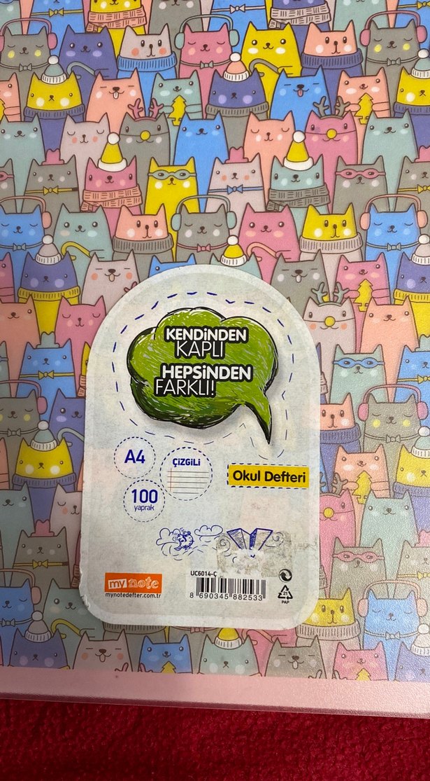 Renkli Kedi Desenli A4 Defter - Görsel 2