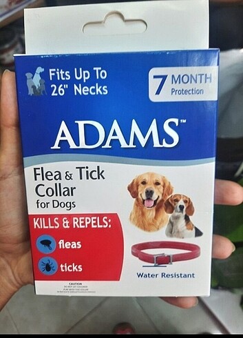 2adet Köpek pire tasması